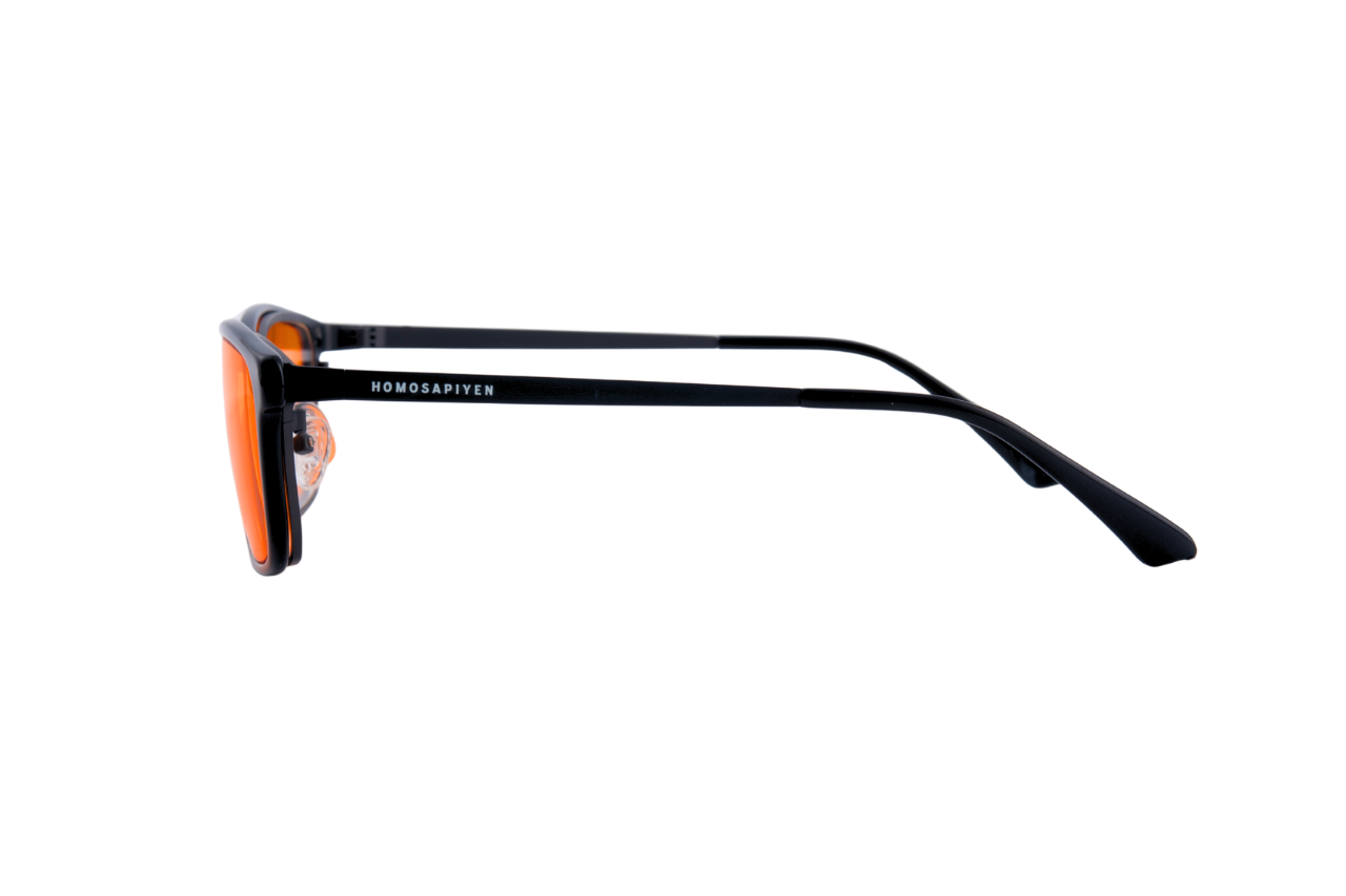 Homosapiyen Day & Night Pro Glasses