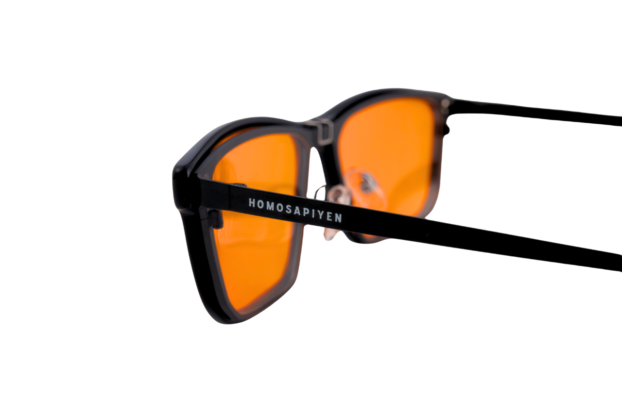 Homosapiyen Day & Night Pro Glasses